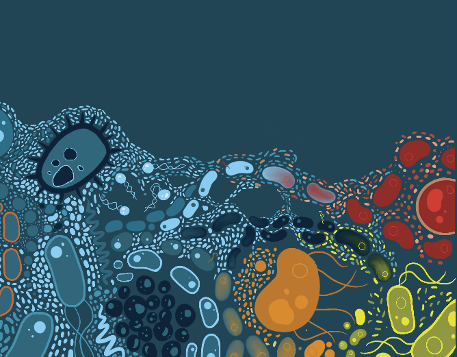 Showcase of microbiome